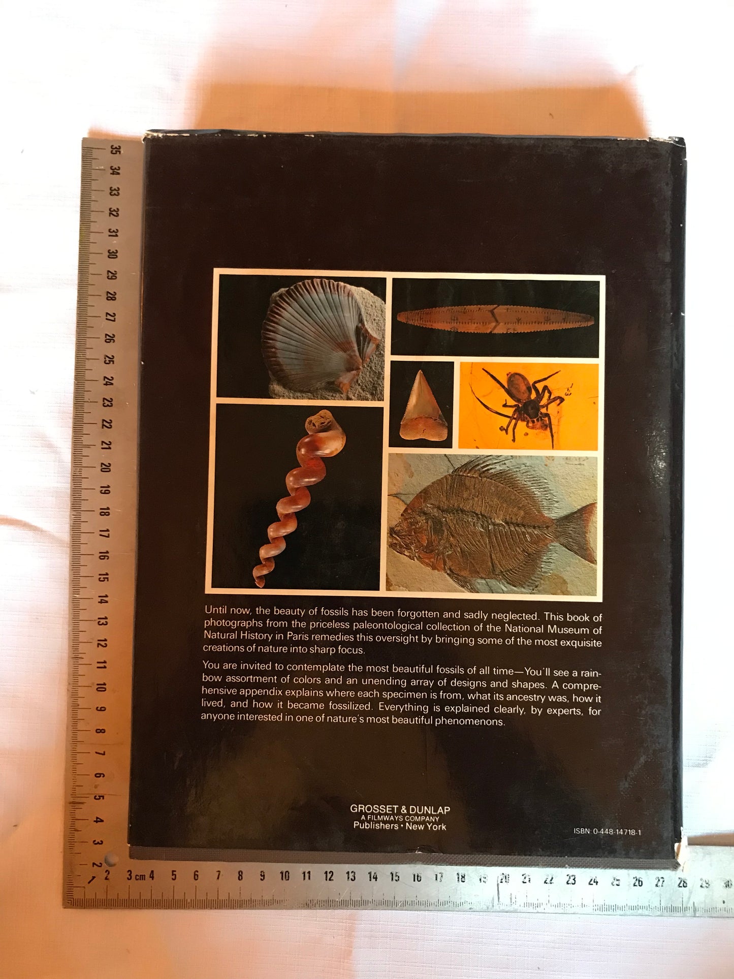 Fossils of all ages
