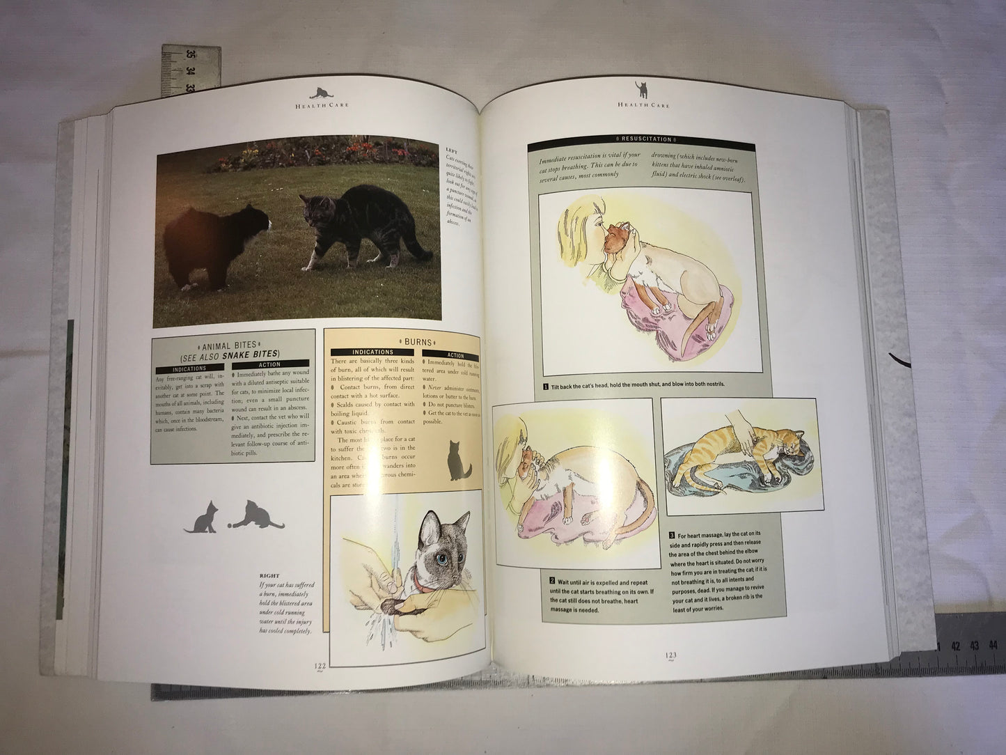 The complete cat book