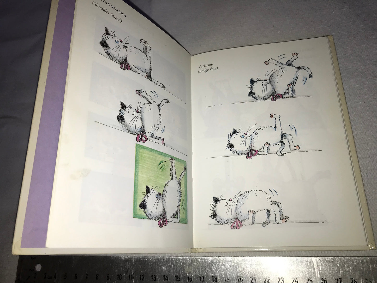 Yoga for cats