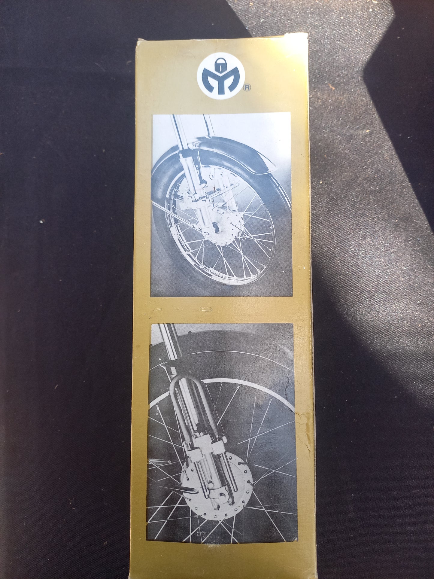 Fixed Motorcycle lock with double pin
