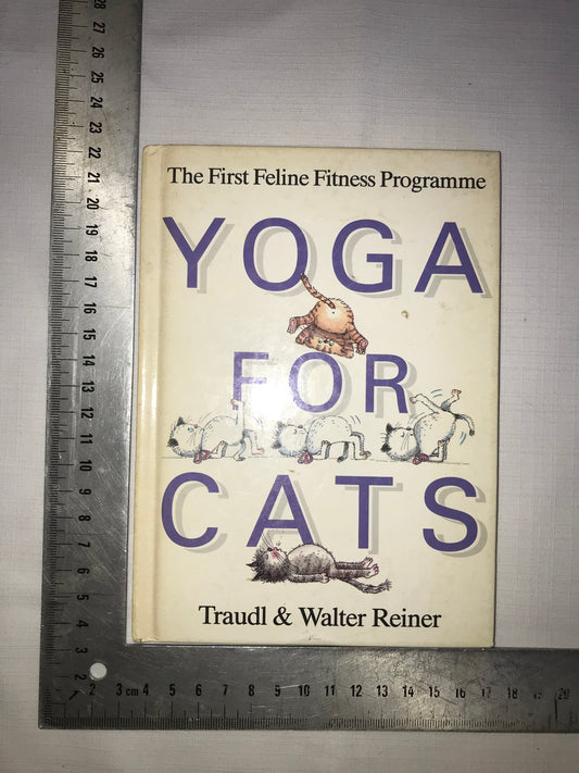 Yoga for cats