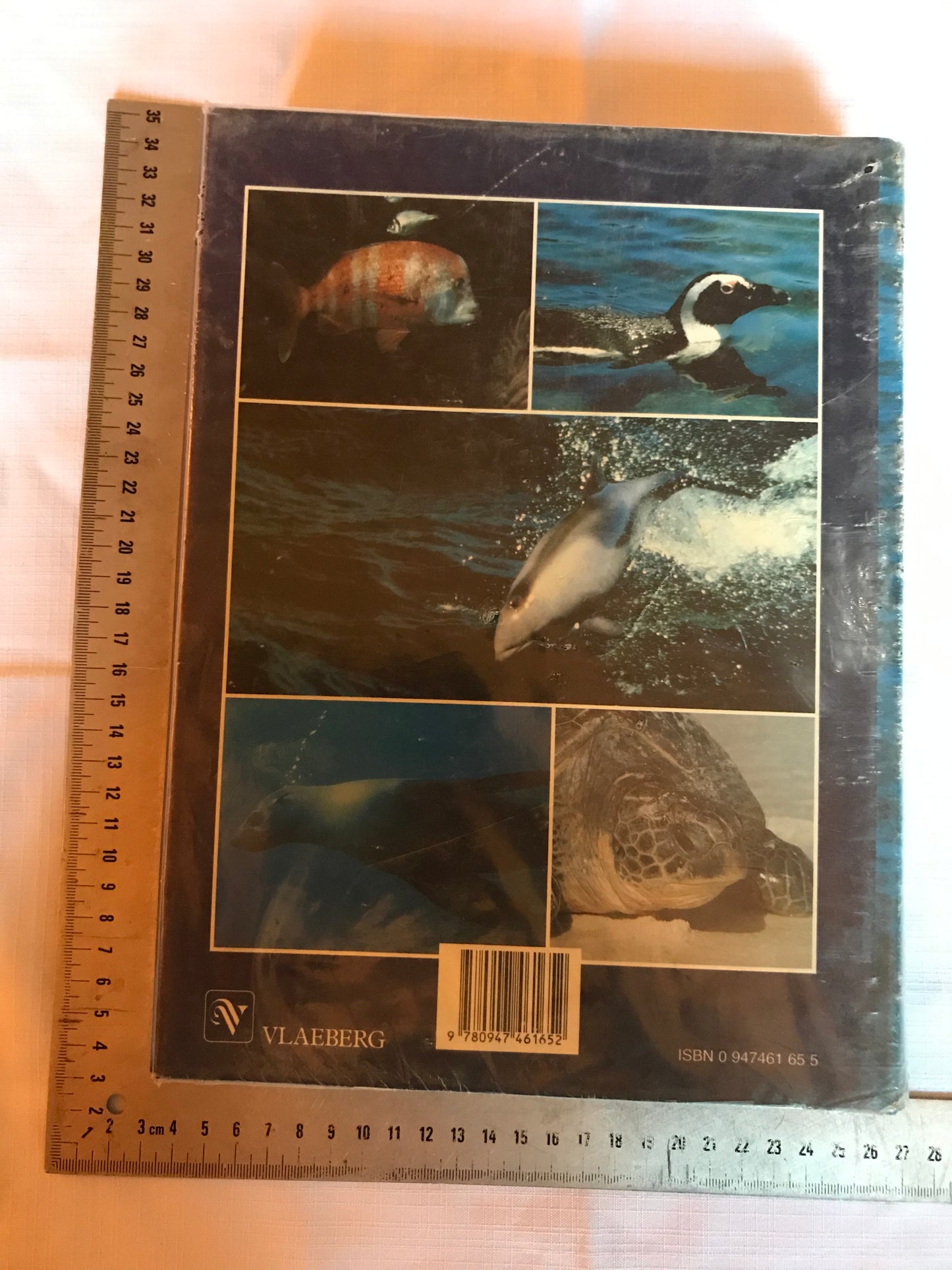 Oceans of life off Southern Africa