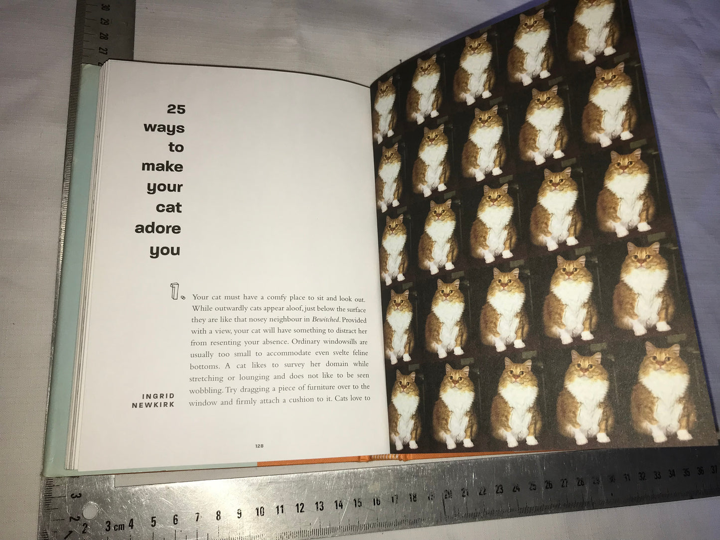 Fur babies book