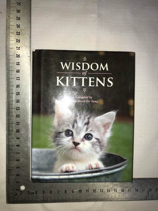 Wisdom of kittens