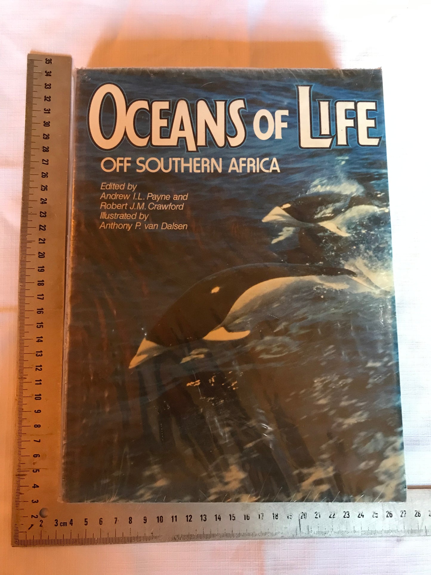 Oceans of life off Southern Africa