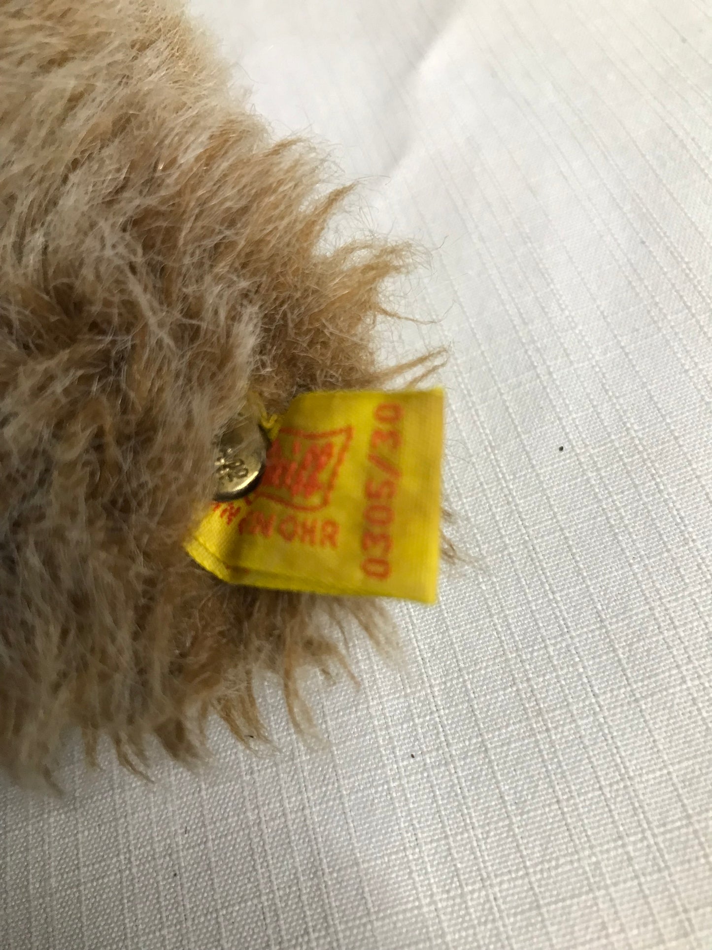 Open mouth Steiff teddy bear 35cm