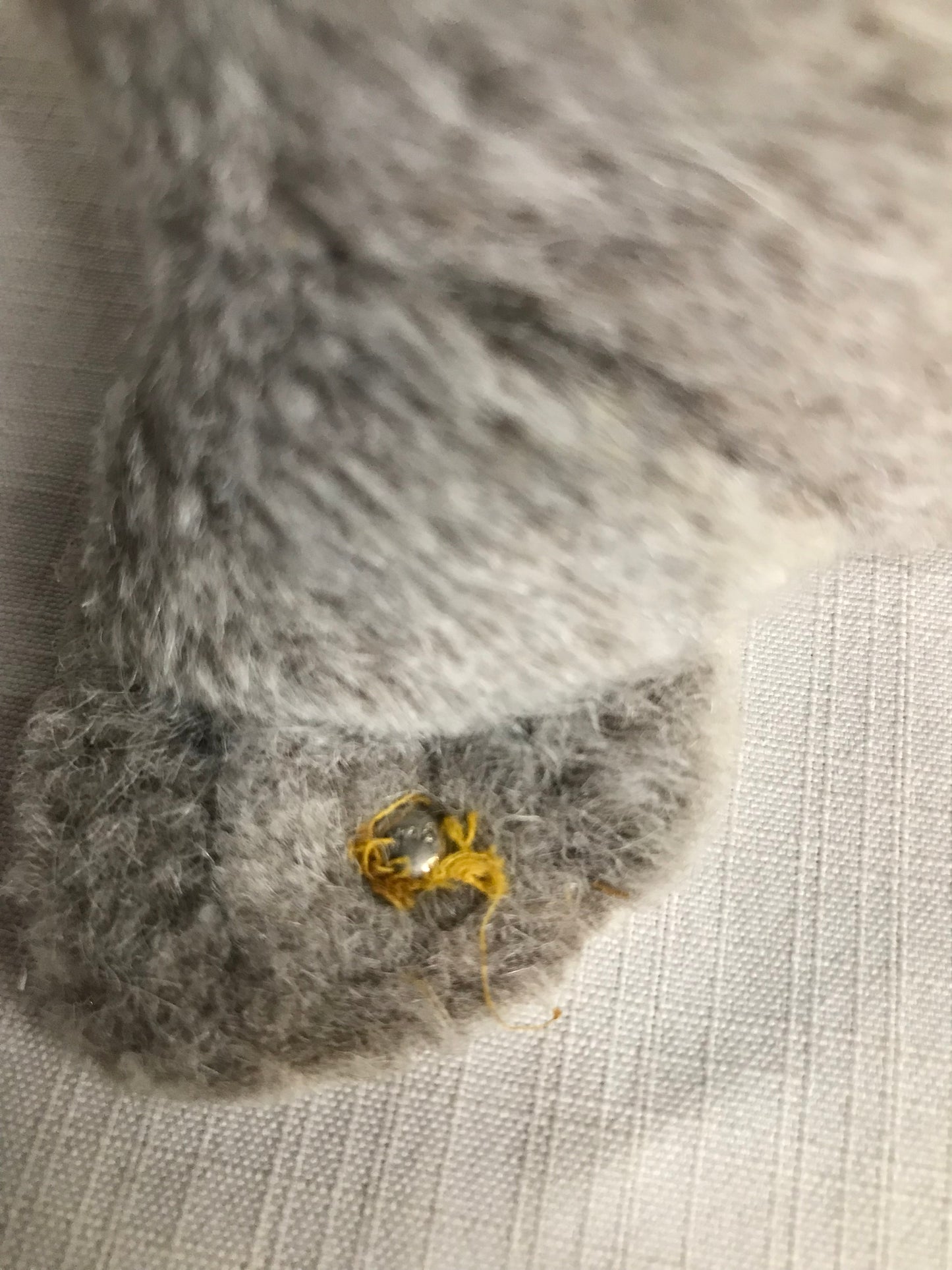 Steiff pre-loved sea lion plushie