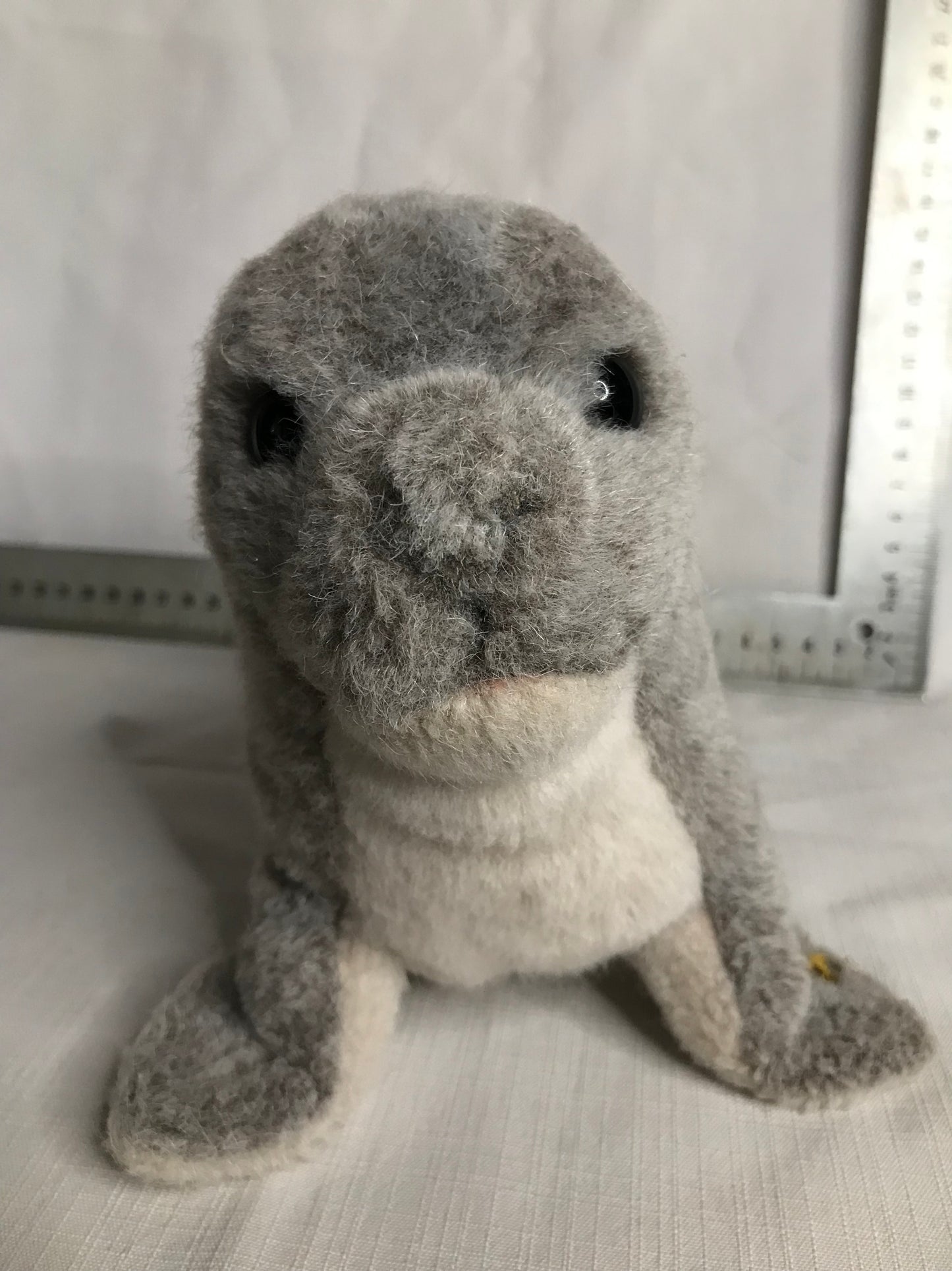 Steiff pre-loved sea lion plushie